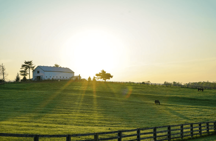 Property & Real Estate Law